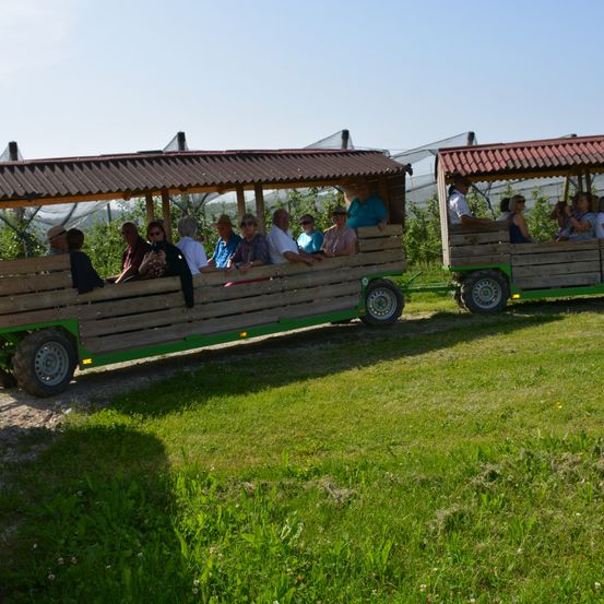 Zwei Holzwagen mit Menschen auf Bänken stehen auf einem Grasfeld. Dahinter befindet sich ein Netzzaun, möglicherweise für einen Bauernhof.