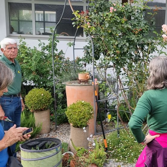 Zwei ältere Erwachsene inspizieren einen Garten. Ein Mann hält ein Telefon, während eine Frau Pflanzen betrachtet. Ein großer Pflanzenkübel und ein Gartenwerkzeug sind in der Nähe.