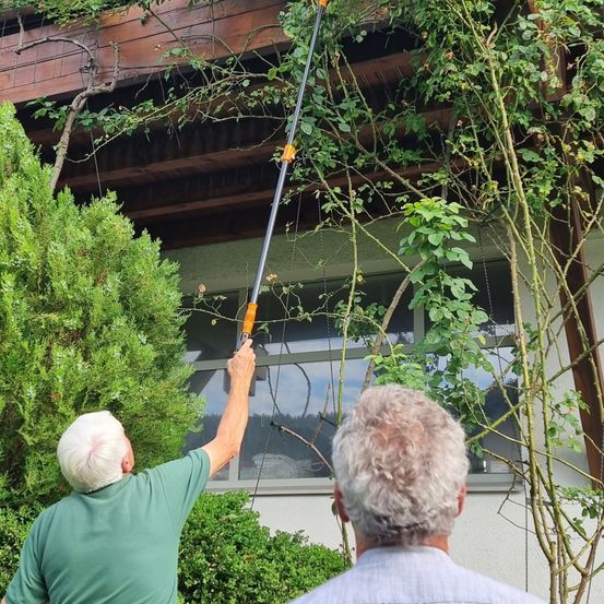 Ein älterer Mann mit weißen Haaren schneidet überwachsene Ranken von einem Spalier über einem Fenster, ein anderer Mann beobachtet.
