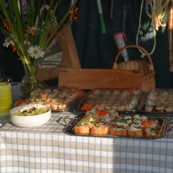 Ein Tisch mit einer karierten Tischdecke ist mit verschiedenen Auflaufschalen mit Vorspeisen wie Brot, Gemüse und Blumen bestückt. Ein Blumenstrauß und eine Schüssel mit Trauben sind ebenfalls vorhanden. Hinter dem Tisch befinden sich Körbe und eine Aufbewahrungsbox.