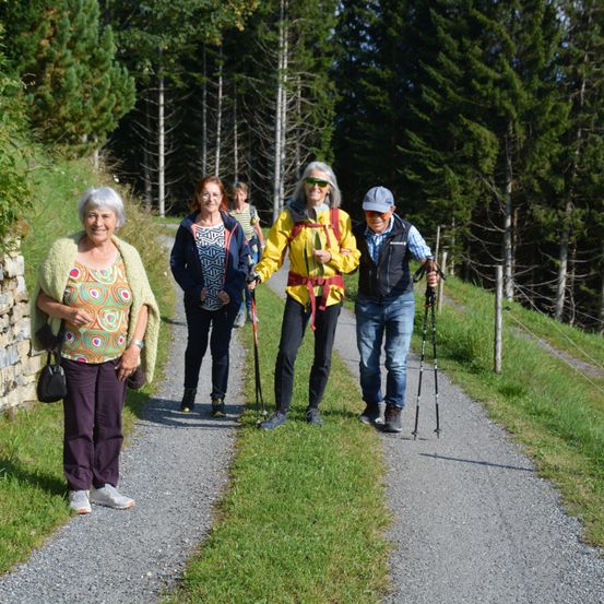 Eine Gruppe von vier Personen geht auf einem Kiesweg, umgeben von Grün. Sie haben Wanderstöcke und tragen Outdoor-Kleidung.