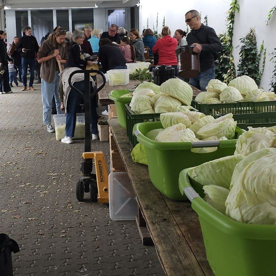 Eine Gruppe von Menschen in einem Gebäude füllt grüne Kisten mit Kohl. Ein Mann mit Brille hält einen Eimer. Eine Frau mit einem Besen ist in der Nähe.