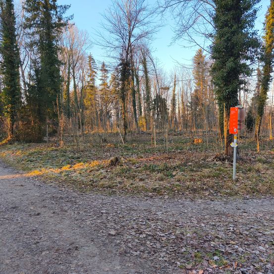 Ein Feldweg in einem Wald mit einem hellorangefarbenen Schild rechts, umgeben von kahlen Bäumen und Laub, unter einem klaren blauen Himmel.