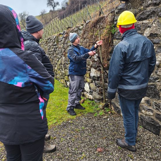 Eine Gruppe von Menschen steht in der Nähe einer Steinmauer, wahrscheinlich in einem Weinberg, wobei ein Mann auf die Mauer zeigt und ein anderer Mann in einem gelben Helm zuhört.