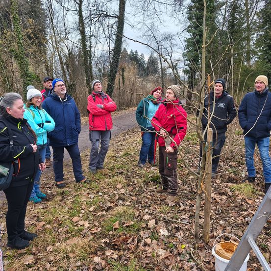 Eine Gruppe von Menschen in Jacken und Mützen steht in einem Park, einige untersuchen einen Baum, während andere zuhören. Eine Person hält ein Werkzeug.