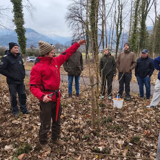 Eine Gruppe von Menschen steht um einen kleinen Baum in einem Waldgebiet. Eine Person in einer roten Jacke zeigt auf den Baum, während andere zuschauen. Ein Eimer befindet sich in der Nähe.