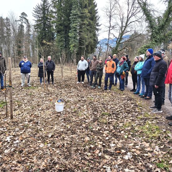 Eine Gruppe von Menschen steht in einem Wald, mit einigen gepflanzten jungen Bäumen. Sie sind in Winterkleidung gekleidet.