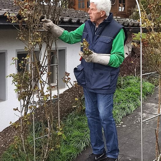 Ein älterer Mann in einer blauen Weste und einem grünen Langarmshirt beschneidet eine Pflanze mit einer Gartenschere. Er steht auf einem gefliesten Weg.
