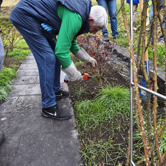 Ein älterer Mann schneidet einen Busch mit einer Gartenschere, während er Handschuhe und eine Weste trägt. Hinter ihm steht eine weitere Person auf dem Gras.
