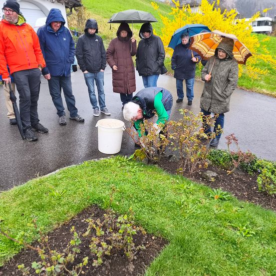 Eine Gruppe von Menschen in Jacken und Mützen steht auf einem Pfad, einige halten Regenschirme. Eine Person beugt sich über eine Pflanze in einem Gartenbeet.