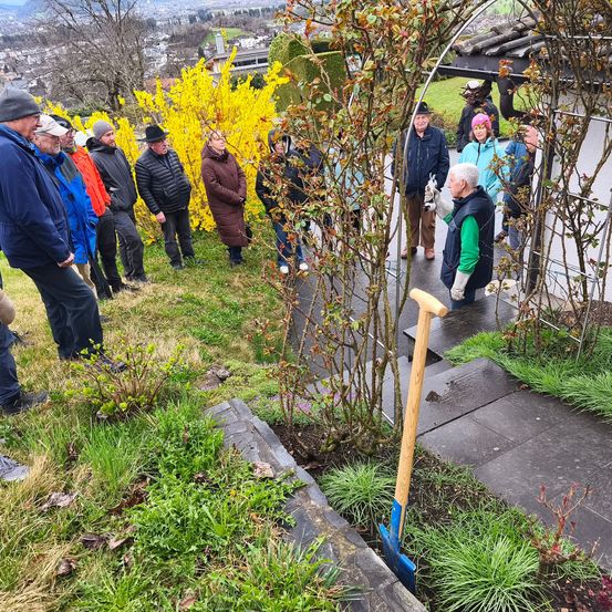 Eine Gruppe von Menschen versammelt sich im Freien, wobei eine Person eine Schaufel in der Nähe einer Pflanze benutzt. Der Bereich ist von Gras umgeben, und im Hintergrund befindet sich ein gelber Busch.