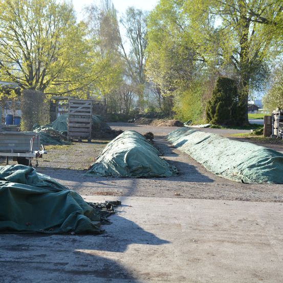 Ein schmutziger Weg mit grünen Planen, die Erdbeete abdecken, in einem Außenbereich, umgeben von Bäumen und einer Holzpalette.