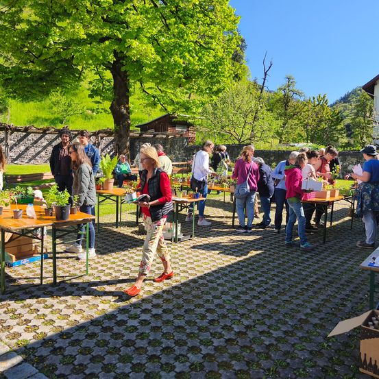 Menschen versammeln sich um Tische mit verschiedenen Topfpflanzen, möglicherweise für einen Pflanzenverkauf, in einem sonnigen Außenbereich.