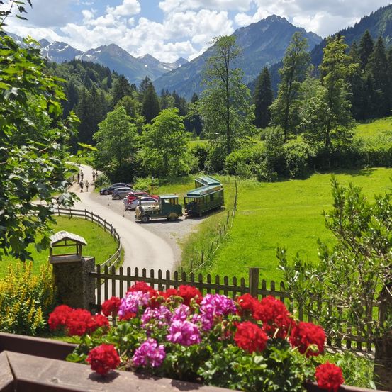 Eine malerische Landschaft mit üppigen grünen Feldern, Bäumen und Bergen. Ein Zug ist am Straßenrand geparkt, mit mehreren geparkten Autos in der Nähe.