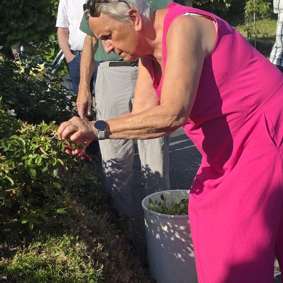 Eine ältere Frau in einem rosa Kleid schneidet mit einer Schere Sträucher in einem Garten, während zwei Männer hinter ihr stehen.