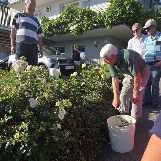 Eine Gruppe von Männern ist draußen. Ein Mann beugt sich vor und hebt etwas von einem Busch auf. Ein anderer Mann steht neben einem weißen Eimer. Hinter ihnen sind Autos, ein Gebäude und ein Baum.