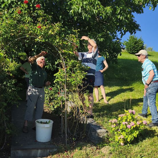 Mehrere Personen sind draußen in einem Garten. Ein Mann pflückt Beeren von einem Busch. Eine Frau steht hinter ihm. Ein anderer Mann schaut nach oben.