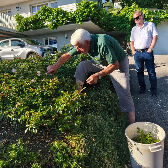Ein älterer Mann kümmert sich um einen Busch im Garten, während ein jüngerer Mann in Freizeitkleidung daneben steht.
