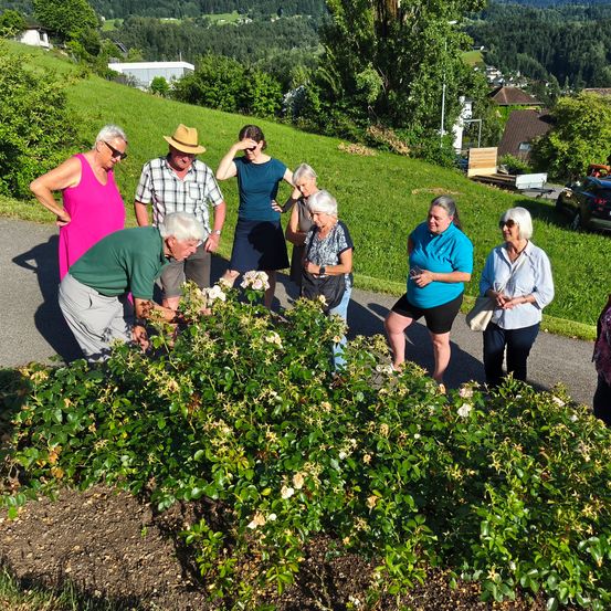 Eine Gruppe von Menschen versammelt sich um einen Strauch mit weißen Blumen. Ein Mann beugt sich vor, um die Blumen genau zu betrachten. Dahinter befindet sich ein grasbewachsener Hügel mit Häusern und Bäumen in der Ferne.