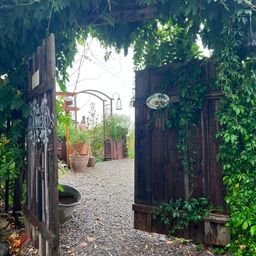 A wooden gate covered in ivy leads to a gravel path with potted plants and a sign reading 'Nature's Garden'.