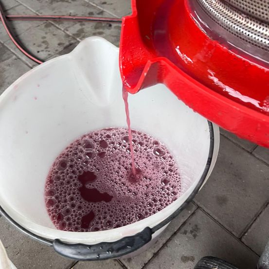 Eine rote Flüssigkeit wird aus einem roten Behälter in einen weißen Eimer auf einem gefliesten Boden gegossen.