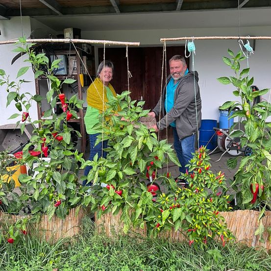 Ein Mann und eine Frau stehen in einem Garten, lächeln und halten rote und grüne Paprika. Sie sind von üppiger Grünfläche und einer Holzstruktur umgeben.