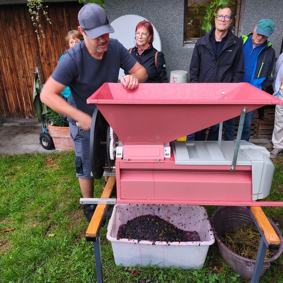 Ein Mann bedient eine rote Maschine, die wie eine Traubenpresse aussieht, während mehrere Personen hinter ihm beobachten. Es gibt zwei Behälter, einer gefüllt mit Trauben und der andere mit zerkleinerten Trauben.