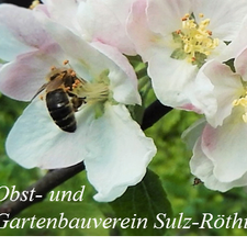 Obst- u. Gartenbauverein Sulz-Röthis-Logo