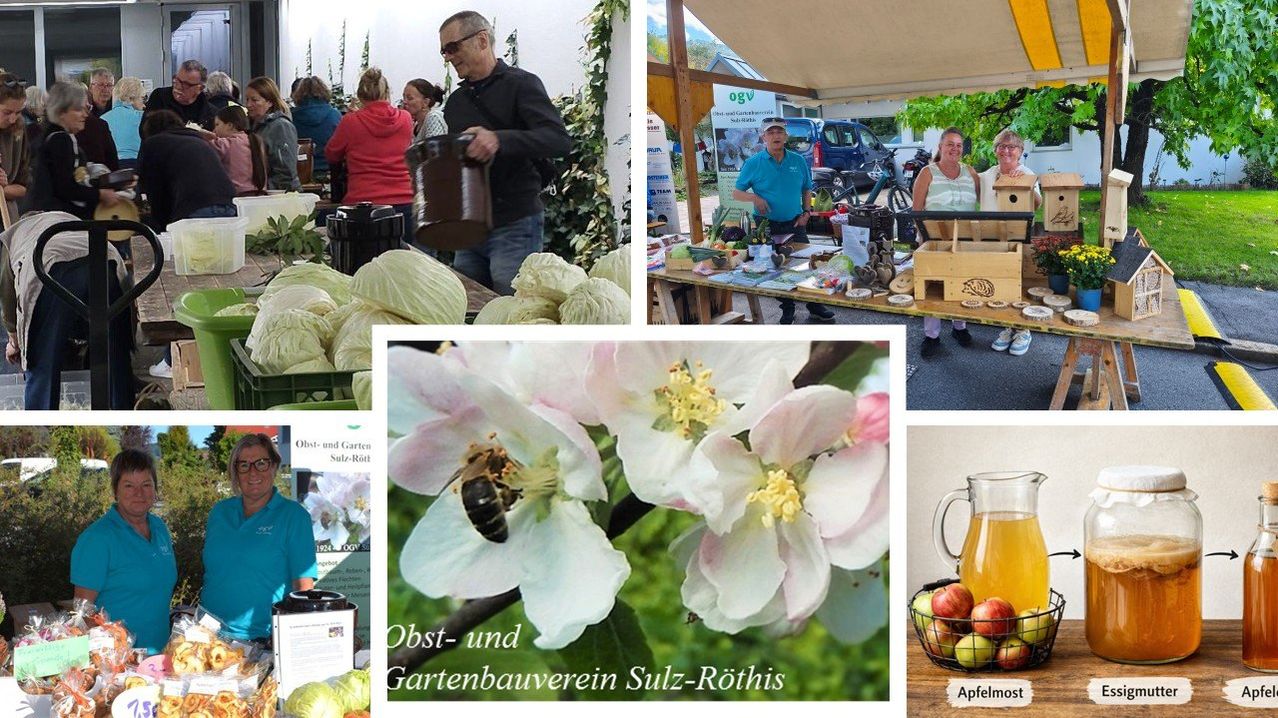 Eine Collage von Bildern von einem Bauernmarkt, mit einem Mann, der einen Drink einschenkt, einem Tisch mit Gemüse, einer Biene auf einer Apfelblüte und einem Krug mit Apfelsaft und Äpfeln.