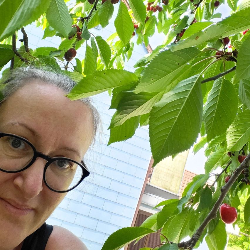 Eine Frau mit Brille macht ein Selfie mit Kirschen, die über ihr von einem Baumzweig hängen. Im Hintergrund befindet sich ein weiß gekacheltes Gebäude.