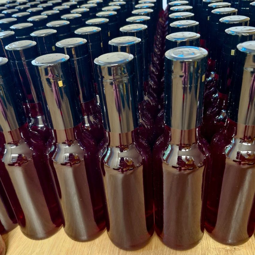 Reihen von kleinen dunklen Flaschen mit silbernen Verschlüssen sind auf einer Holzoberfläche aufgereiht. Die Flaschen enthalten eine dunkle Flüssigkeit.