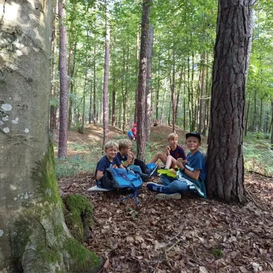 Vier Jungen sitzen in einem Wald, einer davon isst etwas. Sie sind von Bäumen umgeben und haben Rucksäcke. Ein rothaariges Kind steht im Hintergrund.