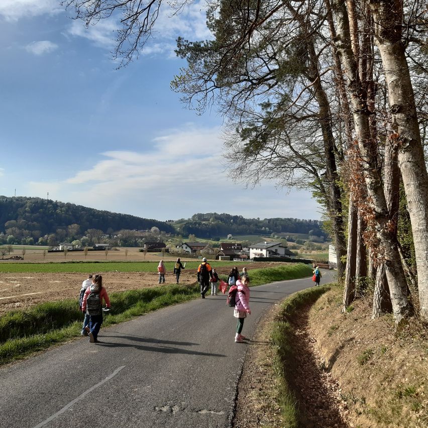 A group of people are walking on a road with trees on both sides. Some of them have backpacks. In the distance, there are houses, a mountain, and a field. The sky is blue with some clouds.