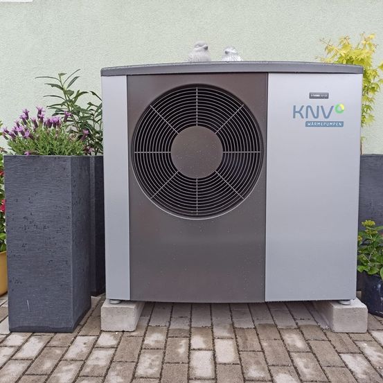 Bild enthält, Plant, Planter, Potted Plant, Device, Appliance, Electrical Device, Bird, Washer, Bench, Air Conditioner