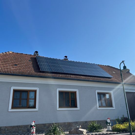 Bild enthält, Electrical Device, Solar Panels, Outdoors, Car, Transportation, Vehicle, Plant, Person, Animal, Bird