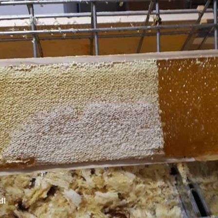 Food, Honey