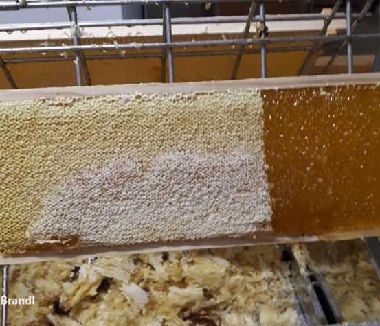 Food, Honey