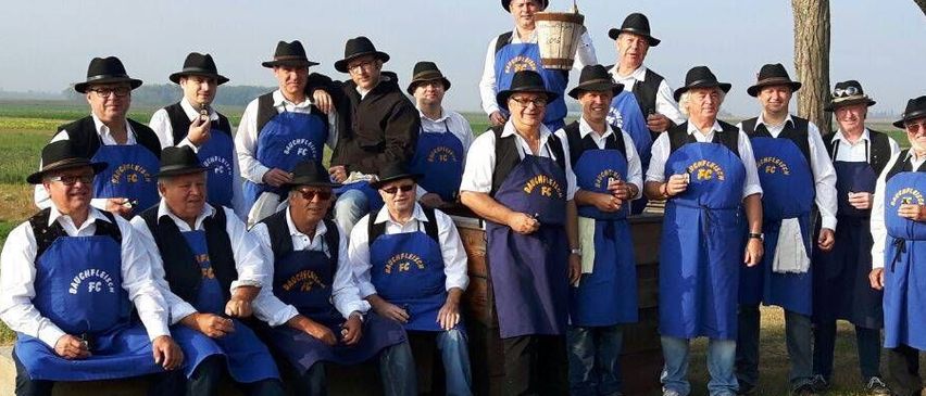 v1_migrated_image_16890880