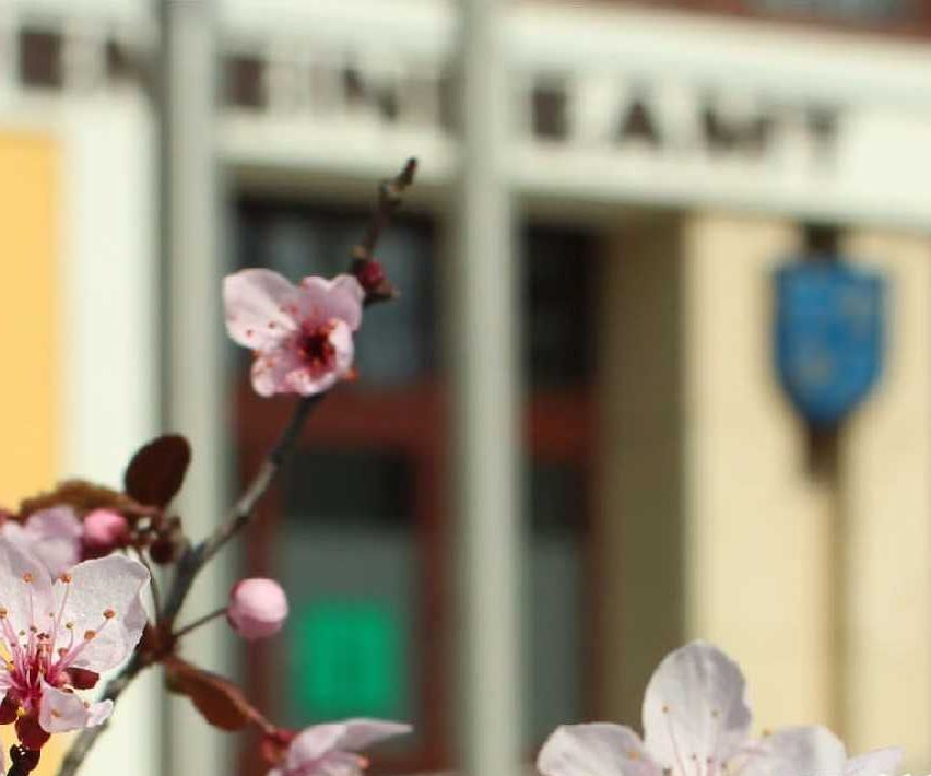 294860933_380318894198558_6621384830583755221_n