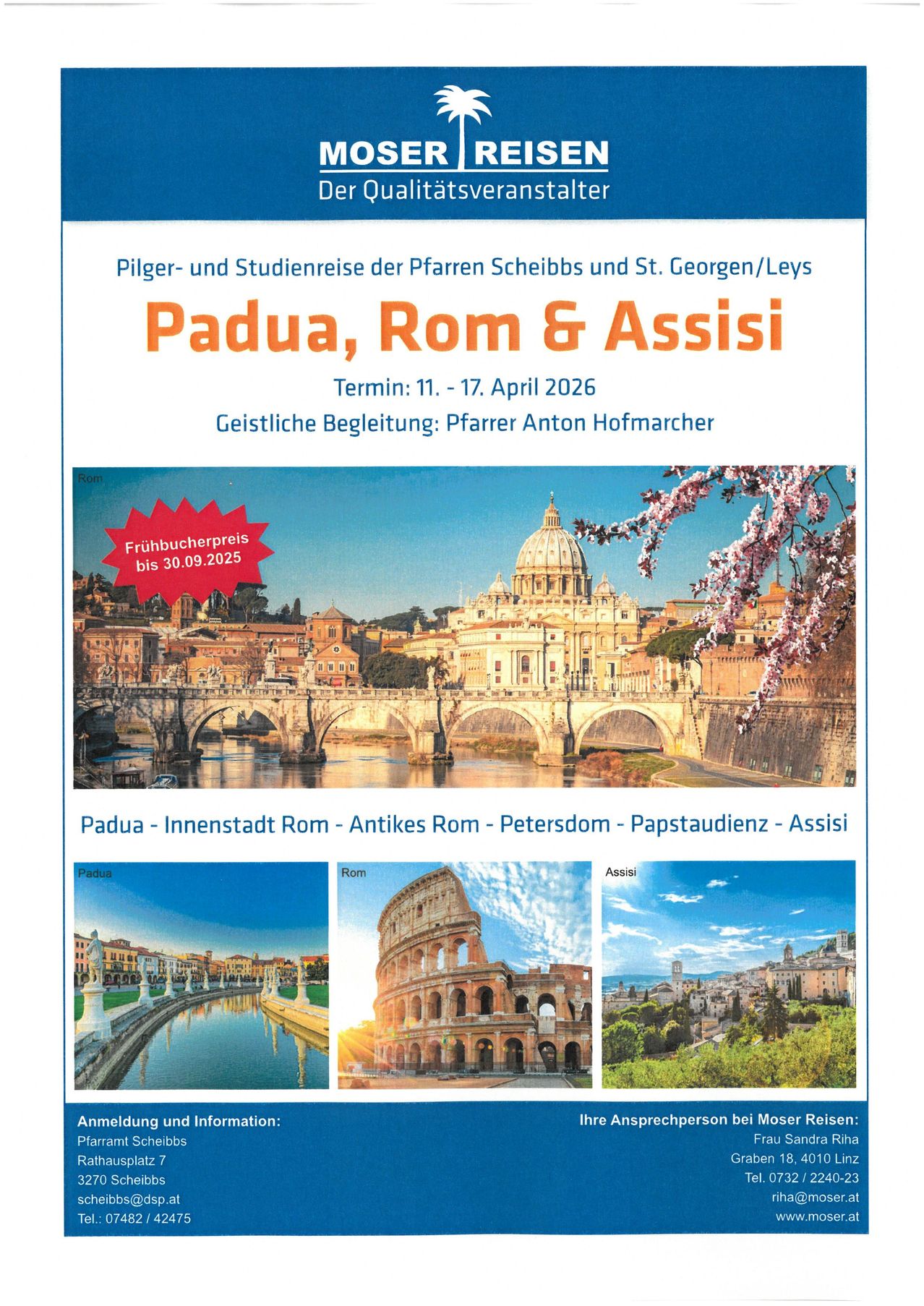 Plakat für eine Pilger- und Studienreise nach Padua, Rom und Assisi vom 11. bis 17. April 2026, geleitet von Pfarrer Anton Hofmarcher. Es sind Bilder der Skyline von Rom, des Kolosseums und der Stadtlandschaft von Assisi zu sehen.