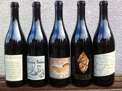 Bottle, Alcohol, Beverage, Liquor, Wine, Wine Bottle, Beer