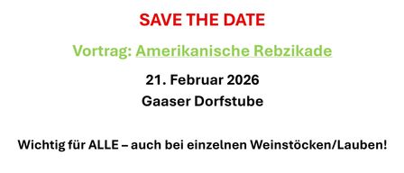 Plakat mit rotem und grünem Text. Überschrift: 'SAVE THE DATE'. Darunter: 'Vortrag: Amerikanische Rebizikade'. Datum: 21. Februar 2026. Ort: Gaaser Dorfstub. Einladung für alle, insbesondere für Einzelne Weinstöcke/Reben! Anmeldung erforderlich. Kontakt: office@weinidylle.at oder 03324/6318.