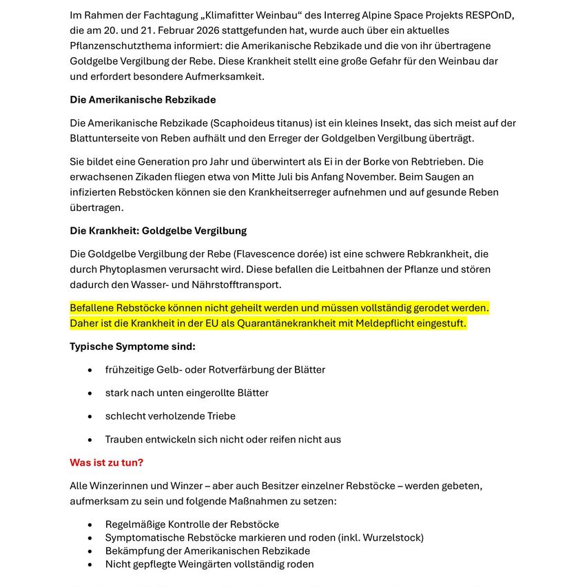 Ein Dokument über die Amerikanische Rebizikade, ihre Auswirkungen auf Weinreben und die von ihr verursachte Krankheit, Goldgelbe Vergilbung. Es beschreibt die Symptome und Kontrollmaßnahmen für Winzer.