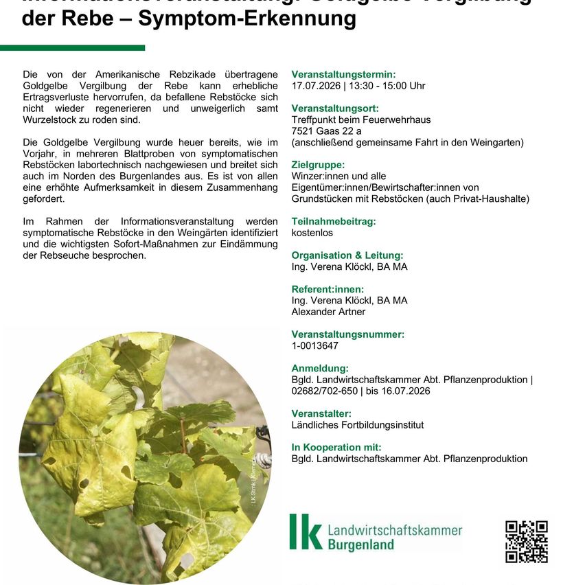 Ein Informationsposter über die Amerikanische Rebzikade. Das Poster enthält Details über die Veranstaltung, die Zielgruppe und die Referenten. Es zeigt auch ein Bild einer Rebe mit vergilbten Blättern.