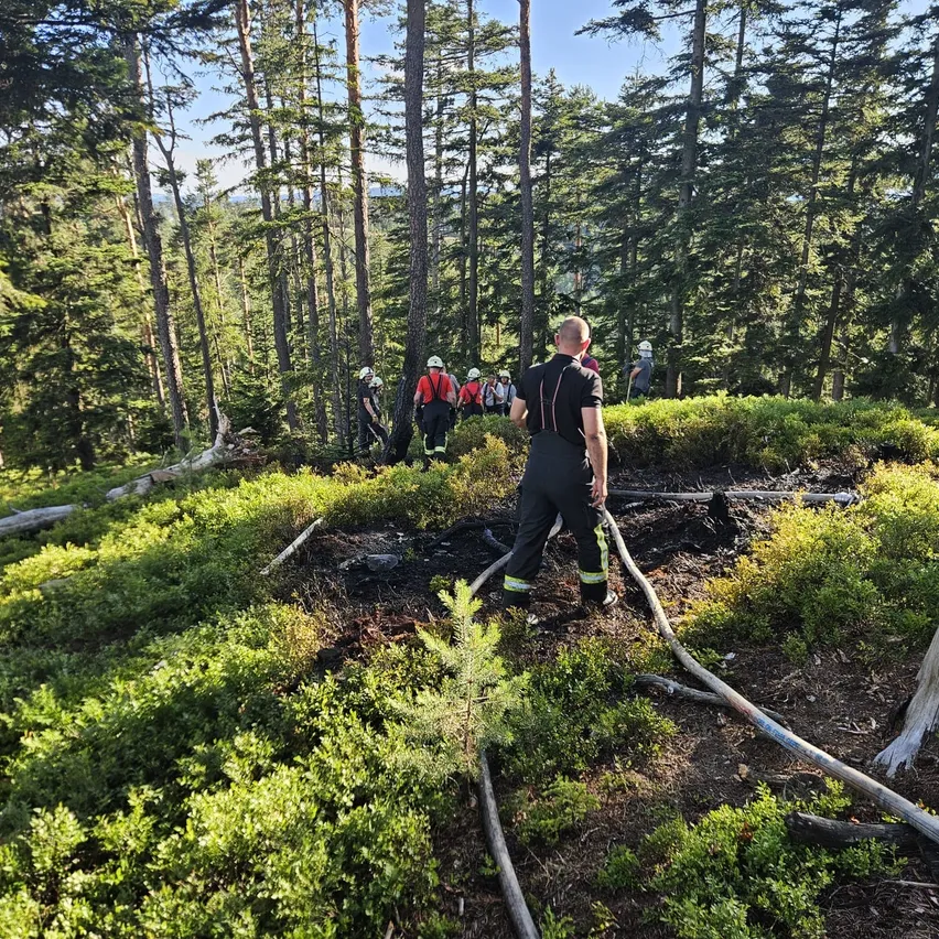 Eine Gruppe von Feuerwehrleuten in Helmen und Ausrüstung steht in einem Wald und schaut auf einen Brandort. Ein Mann in Schwarz hält eine Feuerwehrschläuche.