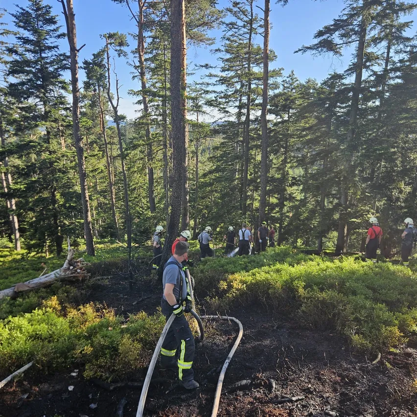 Eine Gruppe von Feuerwehrleuten in Schutzausrüstung arbeitet daran, einen Waldbrand in einem dichten Wald zu löschen. Ein Feuerwehrmann spüht Wasser mit einer Schlauch auf das Feuer.