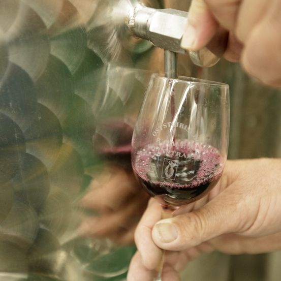 Bild enthält, Body Part, Finger, Hand, Person, Glass, Alcohol, Beverage, Liquor, Red Wine, Wine