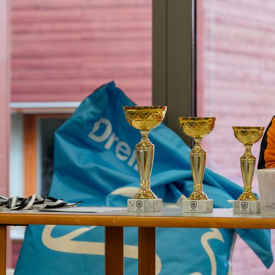 Drei goldene Pokale sind auf einem Holztisch vor einer blauen Tasche ausgestellt. Der Hintergrund zeigt eine rote Ziegelwand und ein Fenster.