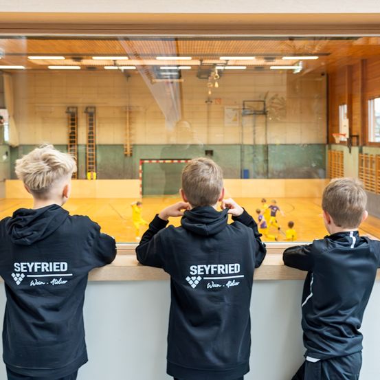 Drei Jungen in schwarzen Seyfried-Hoodies beobachten ein Handballspiel durch eine Glaswand in einer Sporthalle.