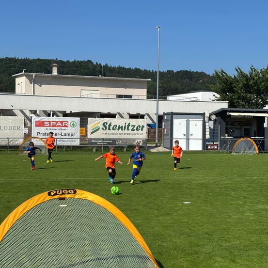 Fünf Kinder spielen Fußball auf einem Feld mit Tornetz. Das Feld ist von einem Gebäude mit Werbebannern umgeben.